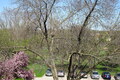 945 Kenilworth Unit 429 ,Palatine, Illinois 60074