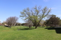 945 Kenilworth Unit 429 ,Palatine, Illinois 60074