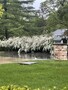 208 Brookdale ,Palatine, Illinois 60067