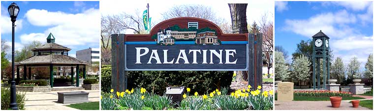 palatine IL home for sale