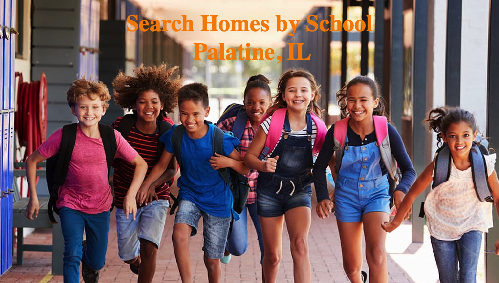 searh home by school palatine